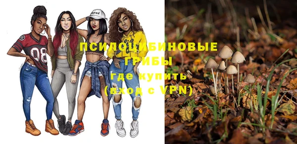 экстази Арсеньев