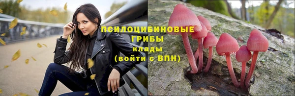МДПВ Балабаново