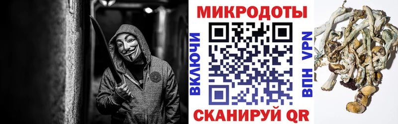 Псилоцибиновые грибы MAGIC MUSHROOMS  Чудово 